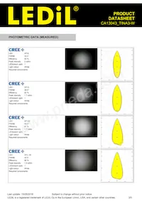 CA13043_TINA3-W Datasheet Pagina 3