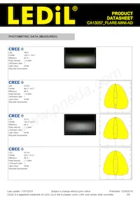 CA13057_FLARE-MINI-AD Datenblatt Seite 3
