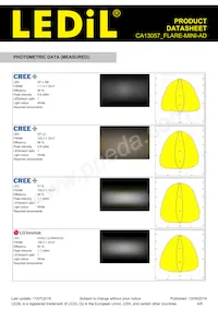 CA13057_FLARE-MINI-AD Datasheet Page 4