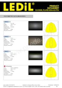 CA13058_FLARE-MINI-AD-PIN Datasheet Page 4