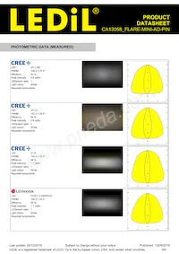 CA13058_FLARE-MINI-AD-PIN Datasheet Pagina 4