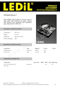 CA13119_STRADA-SQ-A-T 데이터 시트 표지