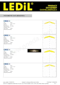 CA13156_EMERALD-A Datasheet Pagina 3