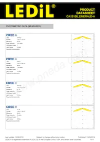 CA13156_EMERALD-A Datasheet Pagina 4