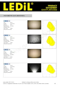 CA13177_RITA-WAS Datasheet Page 3