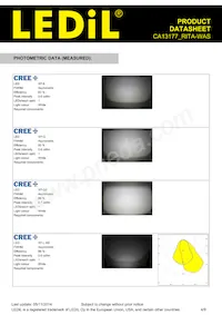 CA13177_RITA-WAS Datasheet Page 4