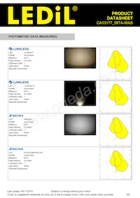 CA13177_RITA-WAS Datasheet Page 6