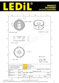 CA13179_TINA3-WWW Datasheet Pagina 2