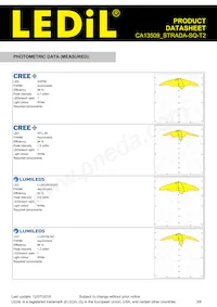 CA13509_STRADA-SQ-T2 Datasheet Page 3