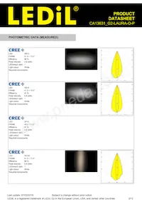 CA13631_G2-LAURA-O-P Datasheet Page 3