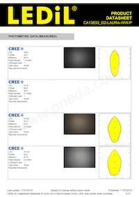 CA13633_G2-LAURA-WW-P Datasheet Page 3