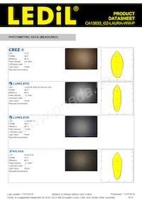 CA13633_G2-LAURA-WW-P Datasheet Page 4