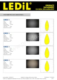 CA13634_G2-LAURA-W-P Datasheet Pagina 3