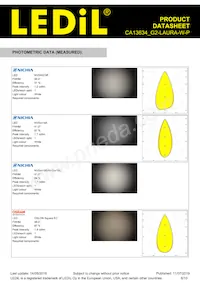 CA13634_G2-LAURA-W-P Datasheet Page 6