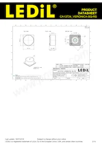 CA13724_VERONICA-SQ-RS 데이터 시트 페이지 2