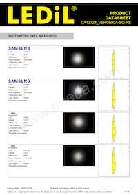 CA13724_VERONICA-SQ-RS 데이터 시트 페이지 5