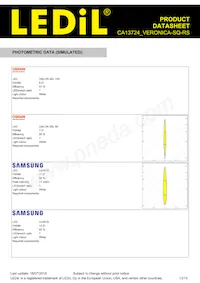 CA13724_VERONICA-SQ-RS Datasheet Page 13