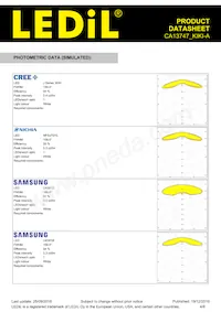 CA13747_KIKI-A Datasheet Page 4