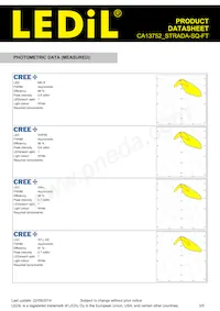 CA13752_STRADA-SQ-FT Datasheet Page 3