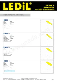 CA13897_STRADA-SQ-FS Datasheet Page 3