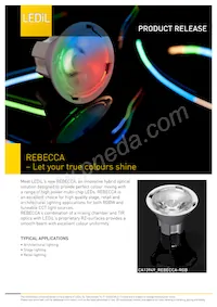 CA13949_REBECCA-RGB 데이터 시트 표지