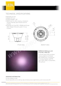 CA13949_REBECCA-RGB Datasheet Page 2