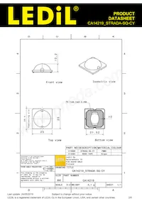 CA14219_STRADA-SQ-CY 데이터 시트 페이지 2