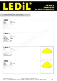 CA14219_STRADA-SQ-CY Datasheet Page 3