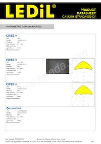 CA14219_STRADA-SQ-CY Datasheet Page 4