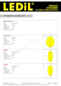CA14366_FLARE-MAXI-TAPE Datasheet Page 9