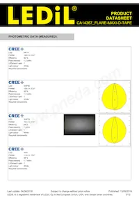 CA14367_FLARE-MAXI-D-TAPE Datasheet Page 3