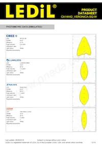 CA14442_VERONICA-SQ-W Datasheet Page 12