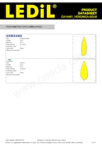 CA14461_VERONICA-SQ-M Datasheet Page 13