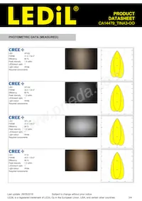 CA14479_TINA3-OO Datasheet Page 3