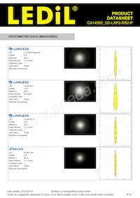 CA14505_G2-LXP2-RS2-P Datenblatt Seite 4