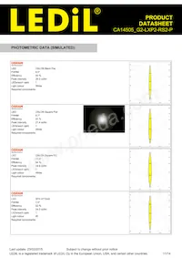 CA14505_G2-LXP2-RS2-P Datasheet Pagina 11