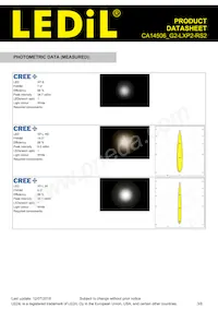 CA14506_G2-LXP2-RS2 Datasheet Page 3