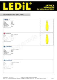 CA14509_G2-LXP2-M-P Datasheet Page 9