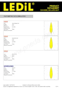 CA14509_G2-LXP2-M-P數據表 頁面 12