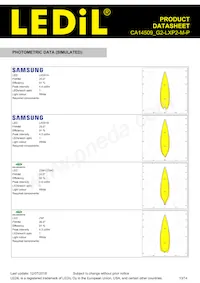 CA14509_G2-LXP2-M-P Datasheet Pagina 13