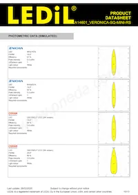 CA14601_VERONICA-SQ-MINI-RS Datasheet Page 10