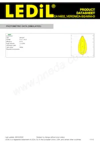 CA14602_VERONICA-SQ-MINI-O Datasheet Page 11