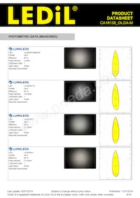 CA16128_OLGA-M Datasheet Page 8