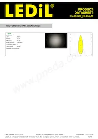 CA16128_OLGA-M Datasheet Page 16