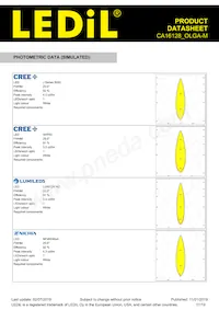 CA16128_OLGA-M Datasheet Page 17