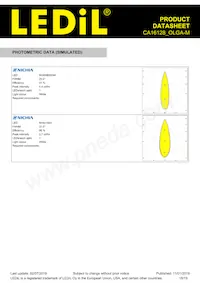 CA16128_OLGA-M Datasheet Pagina 18