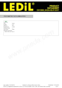 CN13990_SAGA-HB-IP-WHT Datasheet Pagina 13
