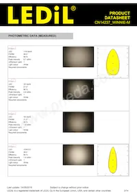 CN14237_WINNIE-M Datasheet Page 3