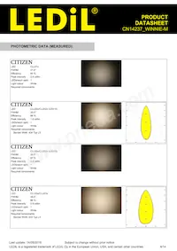 CN14237_WINNIE-M 데이터 시트 페이지 4