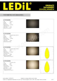 CN14238_WINNIE-W Datasheet Pagina 4